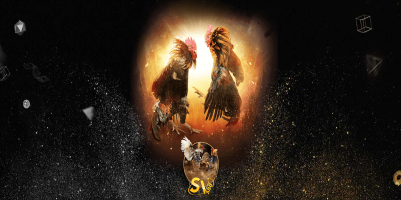 เกมส์พนันไก่ชนที่ IGH828